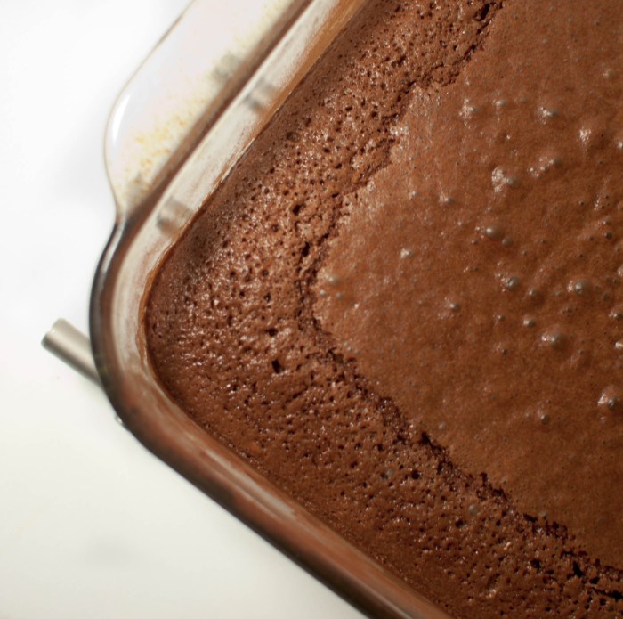 Boozy, Fudgy Brownies (featuring Half Acre Beer and Lion’s Pride Whiskey) from freshandfoodie.com @freshandfoodie