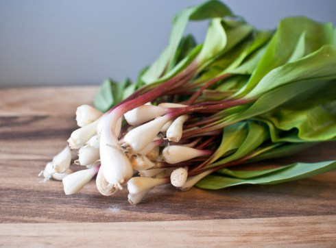 Red Ale Bread with Ramps and 5-Year Aged White Cheddar from freshandfoodie.com @freshandfoodie