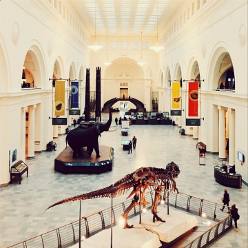The Field Museum from freshandfoodie.com @freshandfoodie